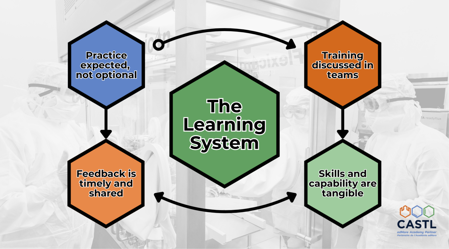 Your Training Isn’t Broken. Your Capability Culture Is.
