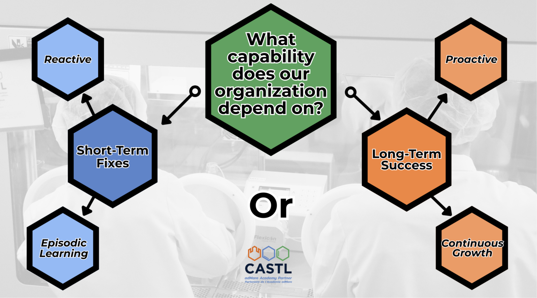 Making Capability Culture Stick: From Intent to a Proactive Learning System